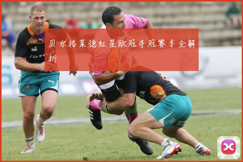 贝尔格莱德红星欧冠夺冠赛季全解析
