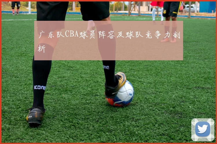 广东队CBA球员阵容及球队竞争力剖析