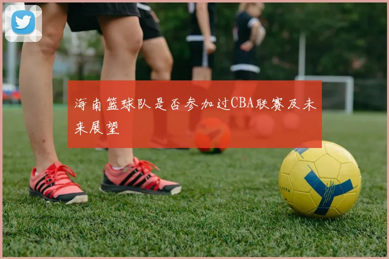 海南篮球队是否参加过CBA联赛及未来展望